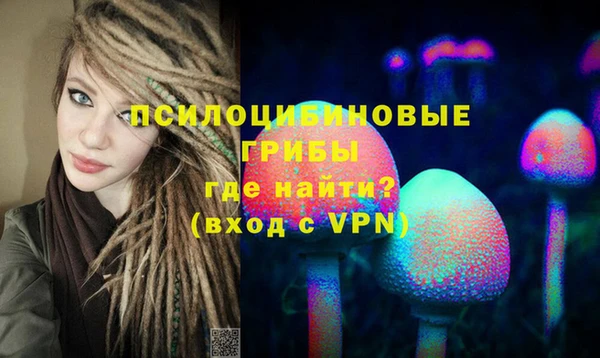 сатива Абдулино
