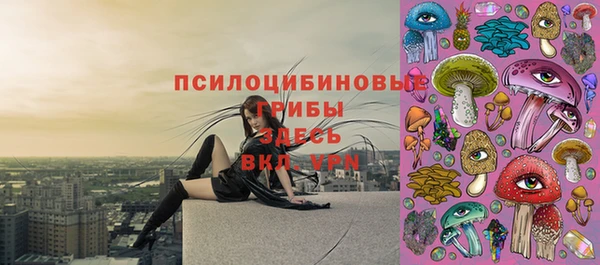 круглые Алексеевка