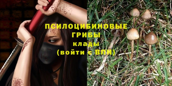 сатива Абдулино